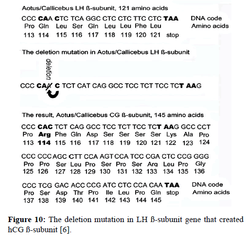 molecular-oncology-deletion-mutation