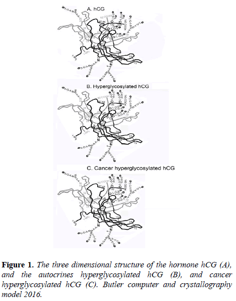 molecular-oncology-dimensional-structure