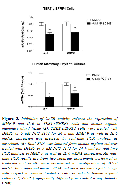 molecular-oncology-human-explant