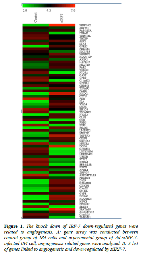 molecular-oncology-knock-down