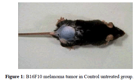 molecular-oncology-melanoma-tumor