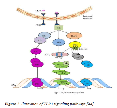 molecular-oncology-signaling-pathways