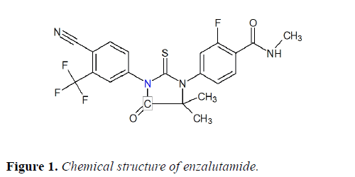 molecular-oncology-structure-enzalutamide