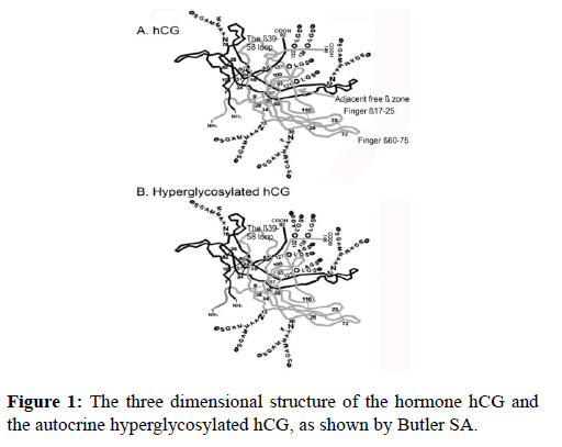 molecular-oncology-three-dimensional-Butler