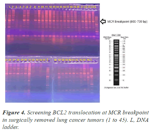 molecular-oncology-translocation