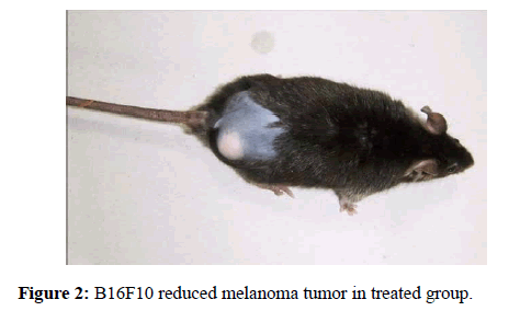 molecular-oncology-treated-group