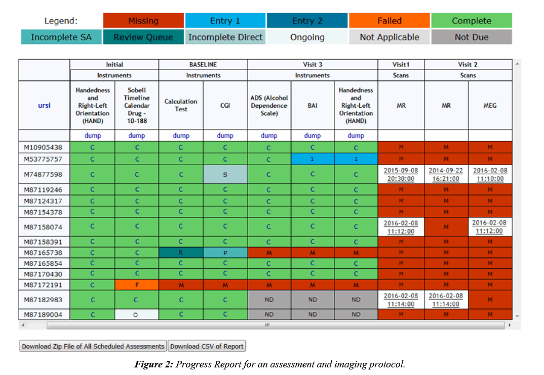 neuroinformatics-neuroimaging-assessment