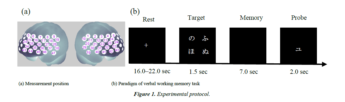 neuroinformatics-neuroimaging-experimental-protocol