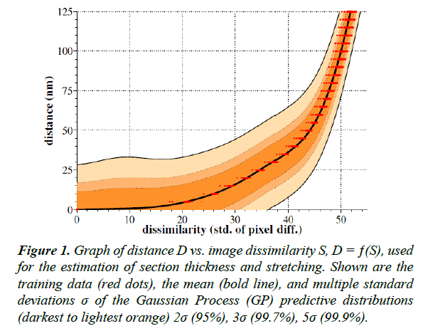 neuroinformatics-neuroimaging-image-dissimilarity