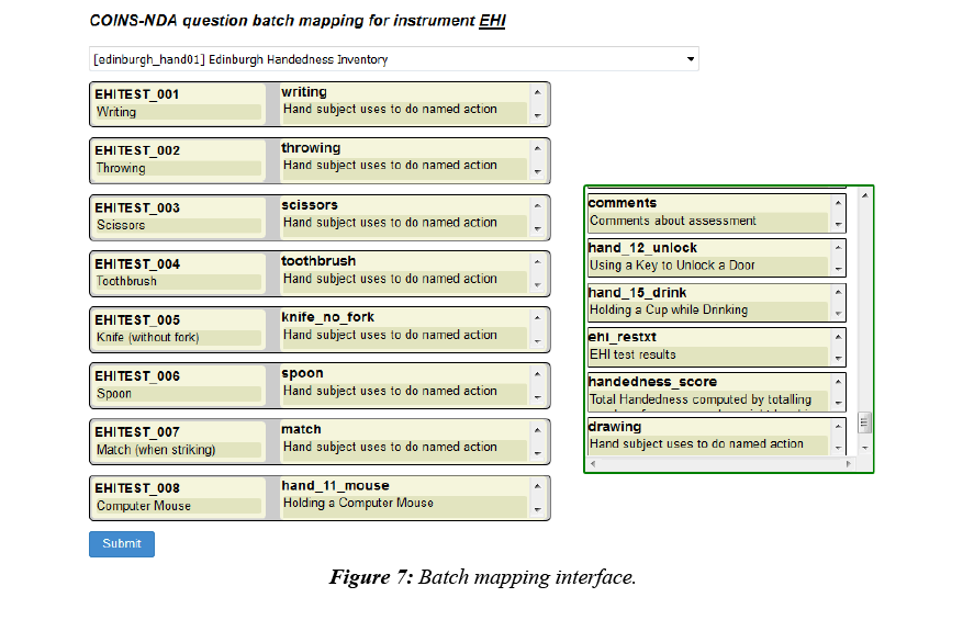 neuroinformatics-neuroimaging-mapping