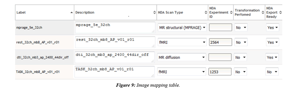 neuroinformatics-neuroimaging-mapping