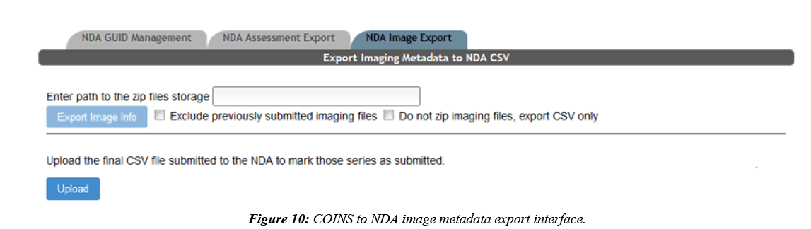 neuroinformatics-neuroimaging-mapping