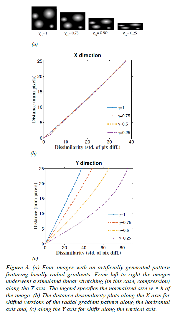 neuroinformatics-neuroimaging-radial-gradients