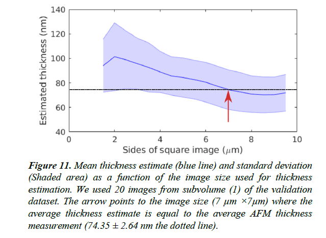 neuroinformatics-neuroimaging-standard-deviation