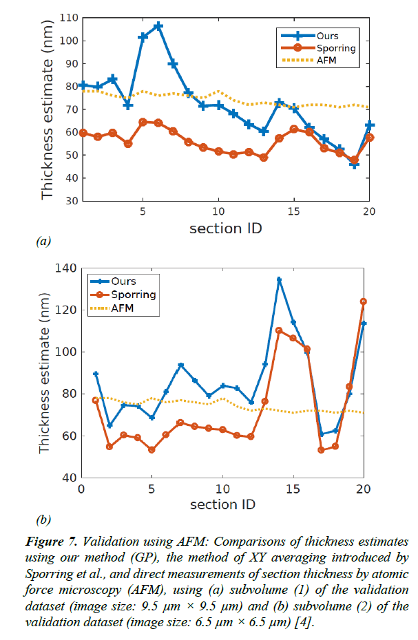 neuroinformatics-neuroimaging-thickness-estimates