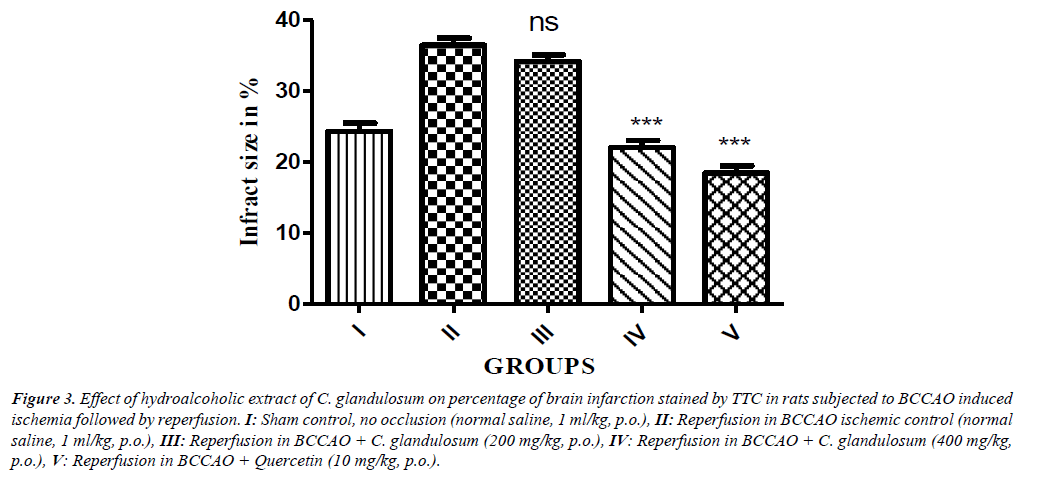 neurology-neurorehabilitation-research-Effect-hydroalcoholic-extract