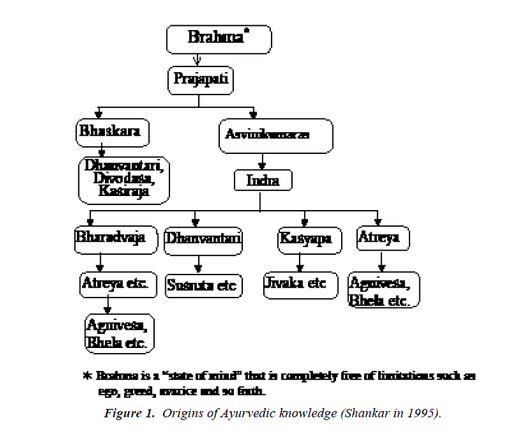 nutrition-human-health-Origins-Ayurvedic