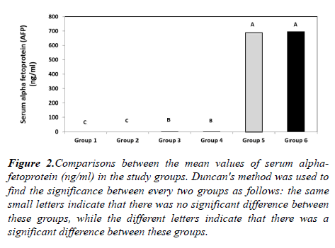 oncology-cancer-research-values