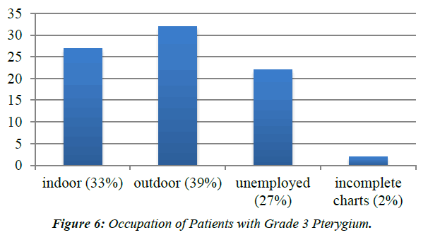 ophthalmic-and-eye-research-Occupation-Patients