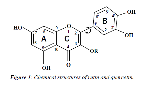 ophthalmic-eye-research-Chemical-structures