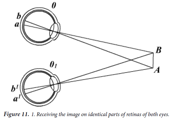 ophthalmic-eye-research-retinas-both-eyes