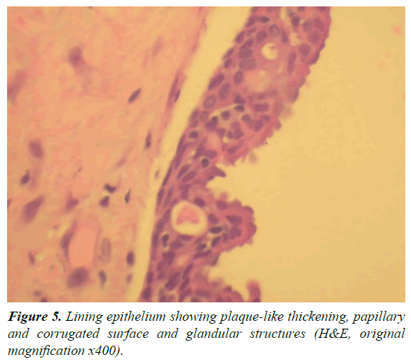 oral-medicine-toxicology-glandular-structures