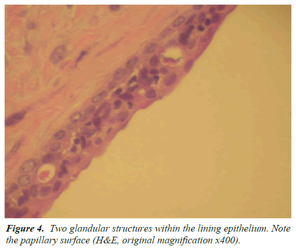 oral-medicine-toxicology-lining-epithelium