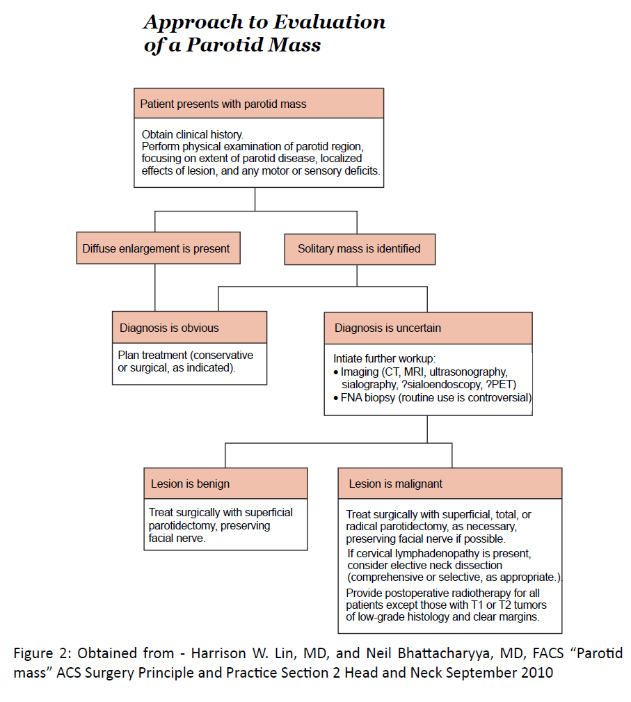 otolaryngology-head-Principle