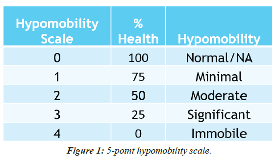 pain-management-therapy-hypomobility-scale