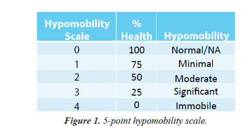 pain-management-therapy-hypomobility-scale