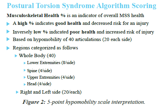 pain-management-therapy-scale-interpretation