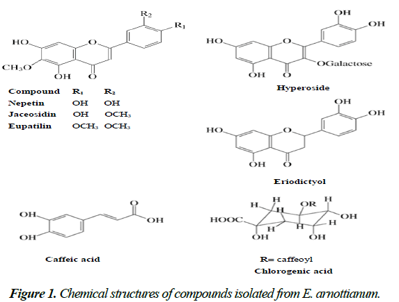 parasitic-diseases-diagnosis-Chemical-compounds