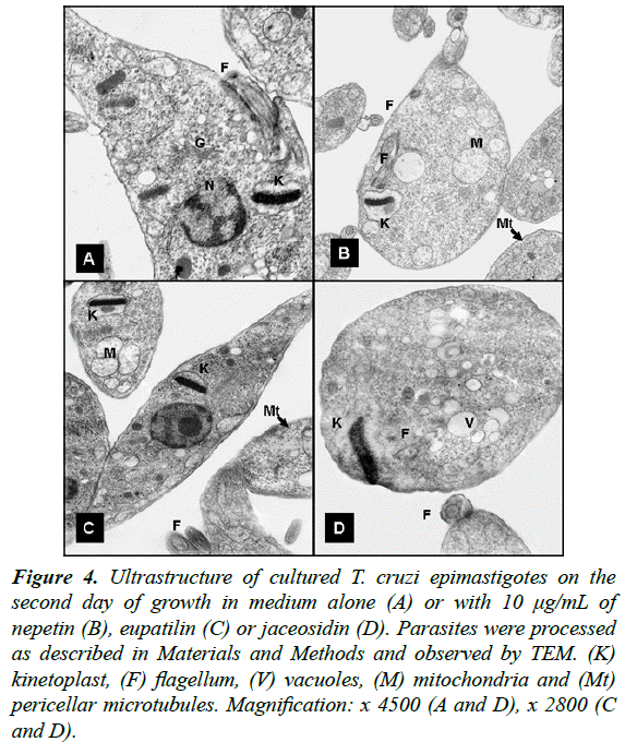 parasitic-diseases-diagnosis-medium-Methods