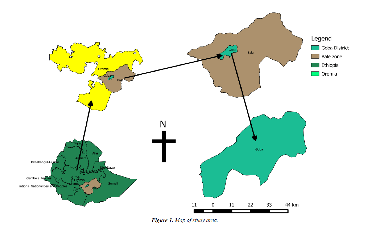 parasitic-diseases-diagnosis-therapy-Map-study