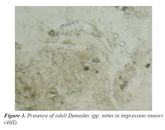 parasitic-diseases-diagnosis-therapy-impression-smears