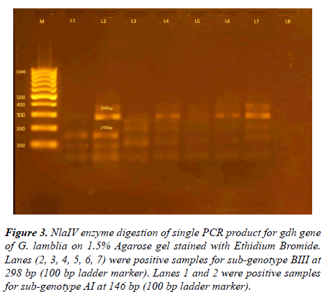 parasitic-diseases-diagnosis-therapy-samples