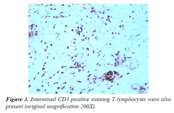 pathology-disease-biology-positive-staining