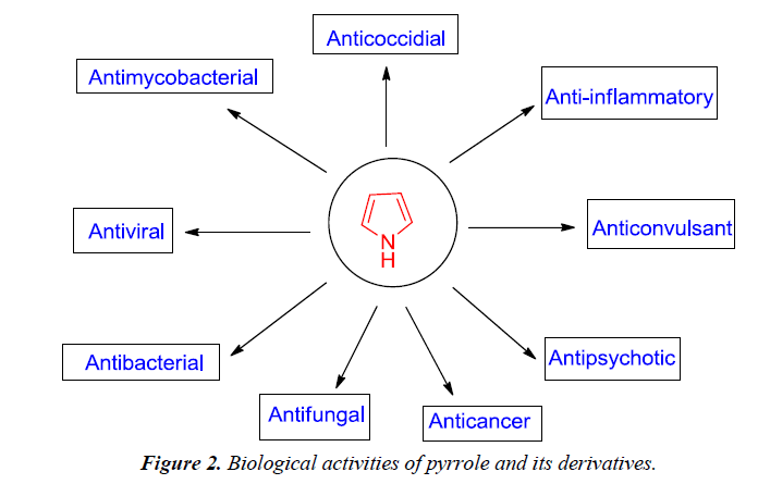 pharmaceutical-chemistry-chemical-science-activities-pyrrole