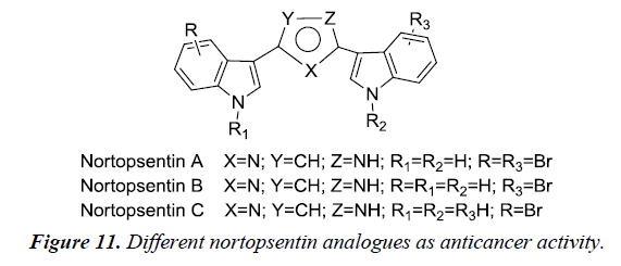 pharmaceutical-chemistry-chemical-science-analogues-anticancer