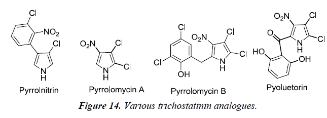 pharmaceutical-chemistry-chemical-science-trichostatinin-analogues