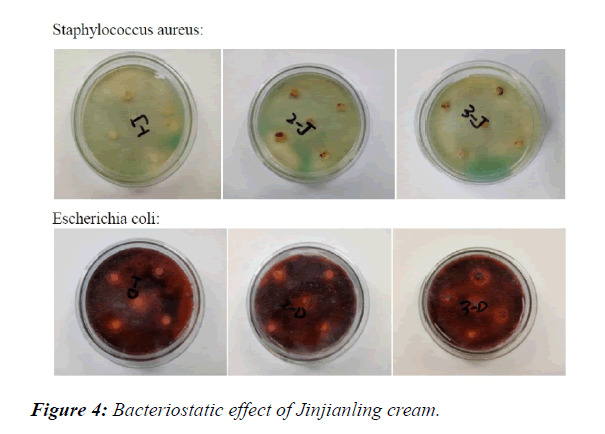 pharmacology-therapeutic-research-Bacteriostatic-effect