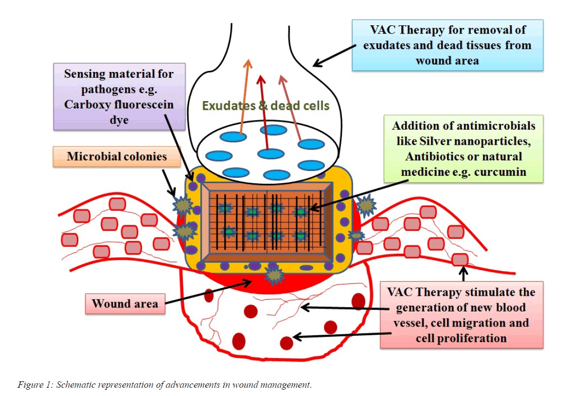 pharmacology-therapeutic-research-wound-management