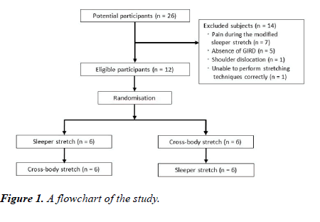 physical-therapy-sports-medicine-flowchart