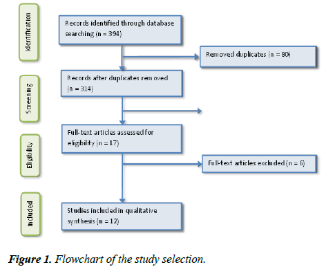 physical-therapy-sports-medicine-study-selection