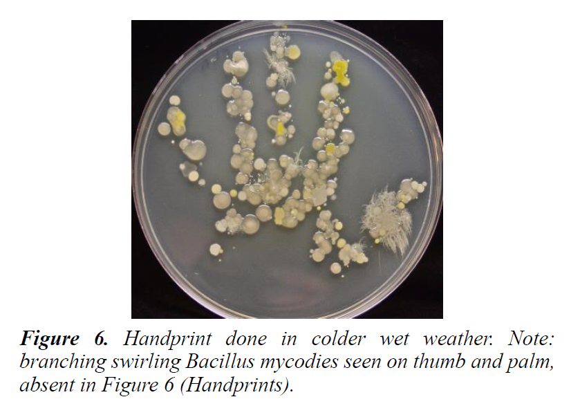 plant-biotechnology-microbiology-branching-swirling