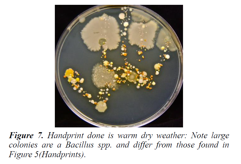 plant-biotechnology-microbiology-handprint-done