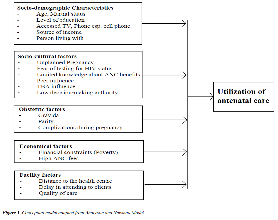 pregnancy-neonatal-medicine-Conceptual-model