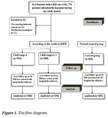 pregnancy-neonatal-medicine-flow-diagram