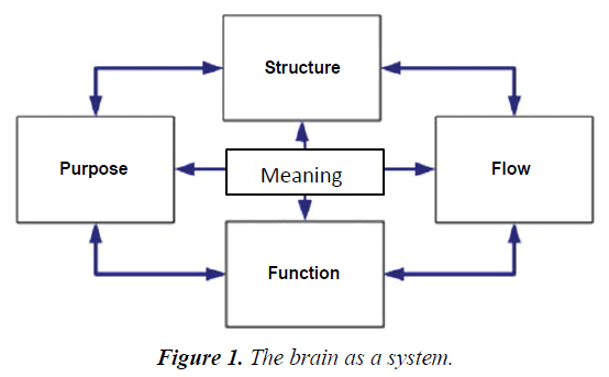 psychology-cognition-brain-system