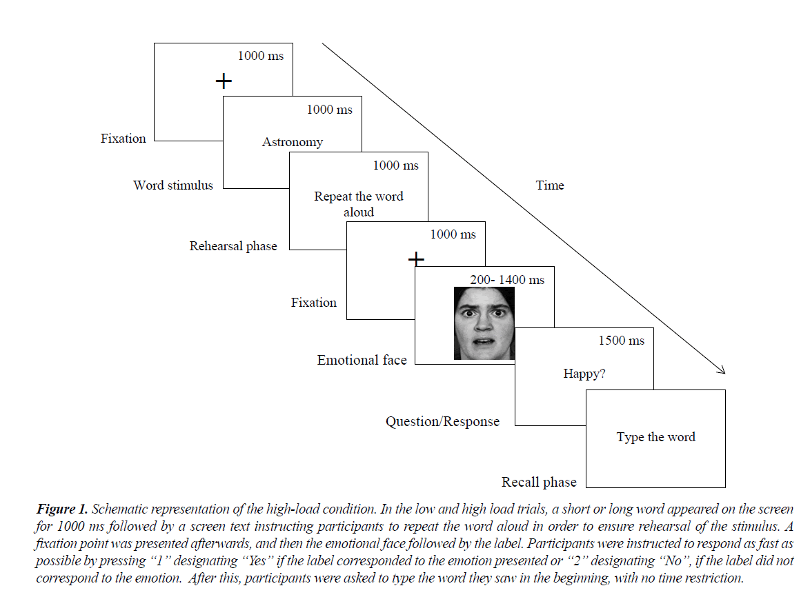 psychology-cognition-load-conditions